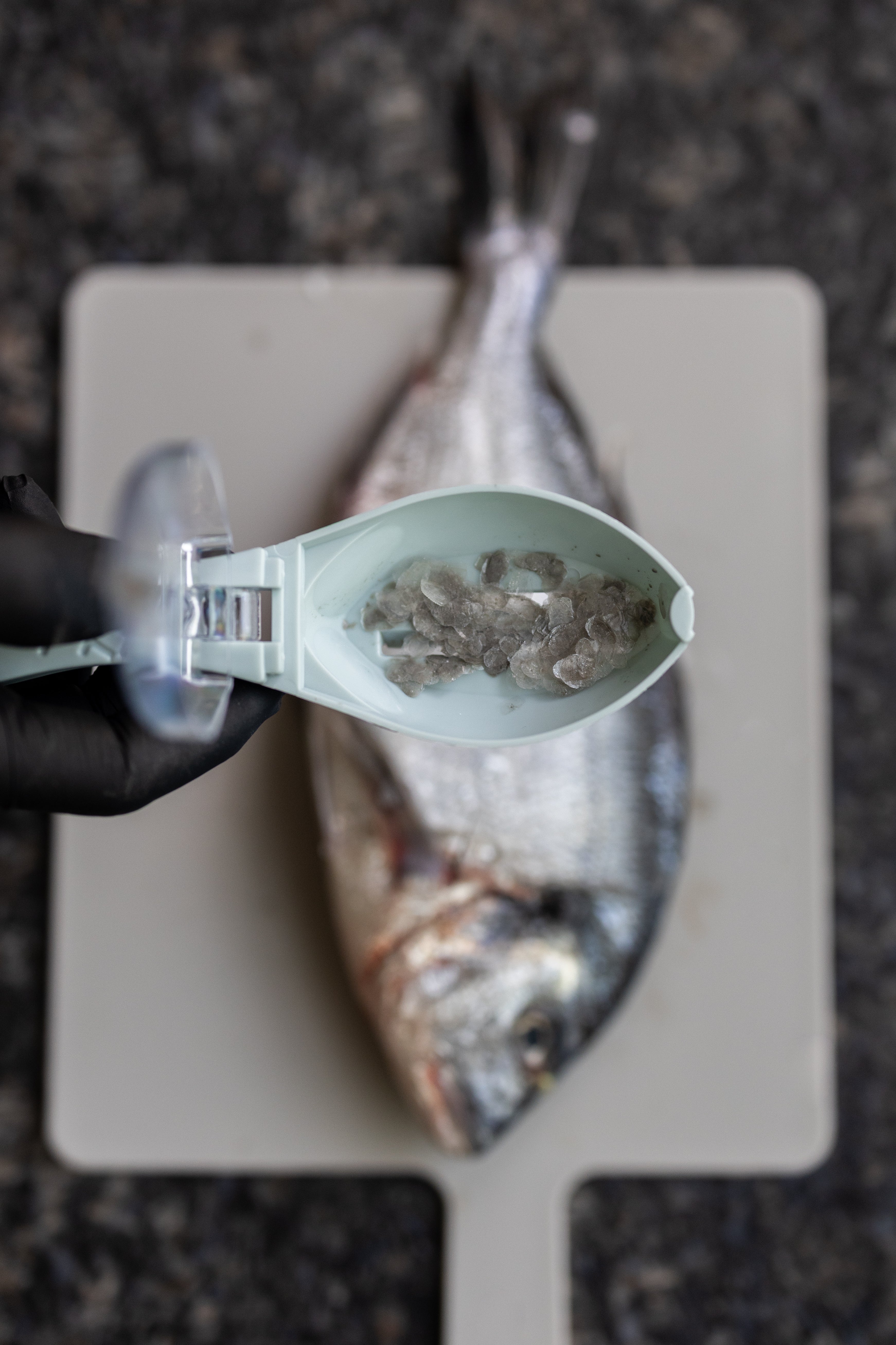 Fish peeler