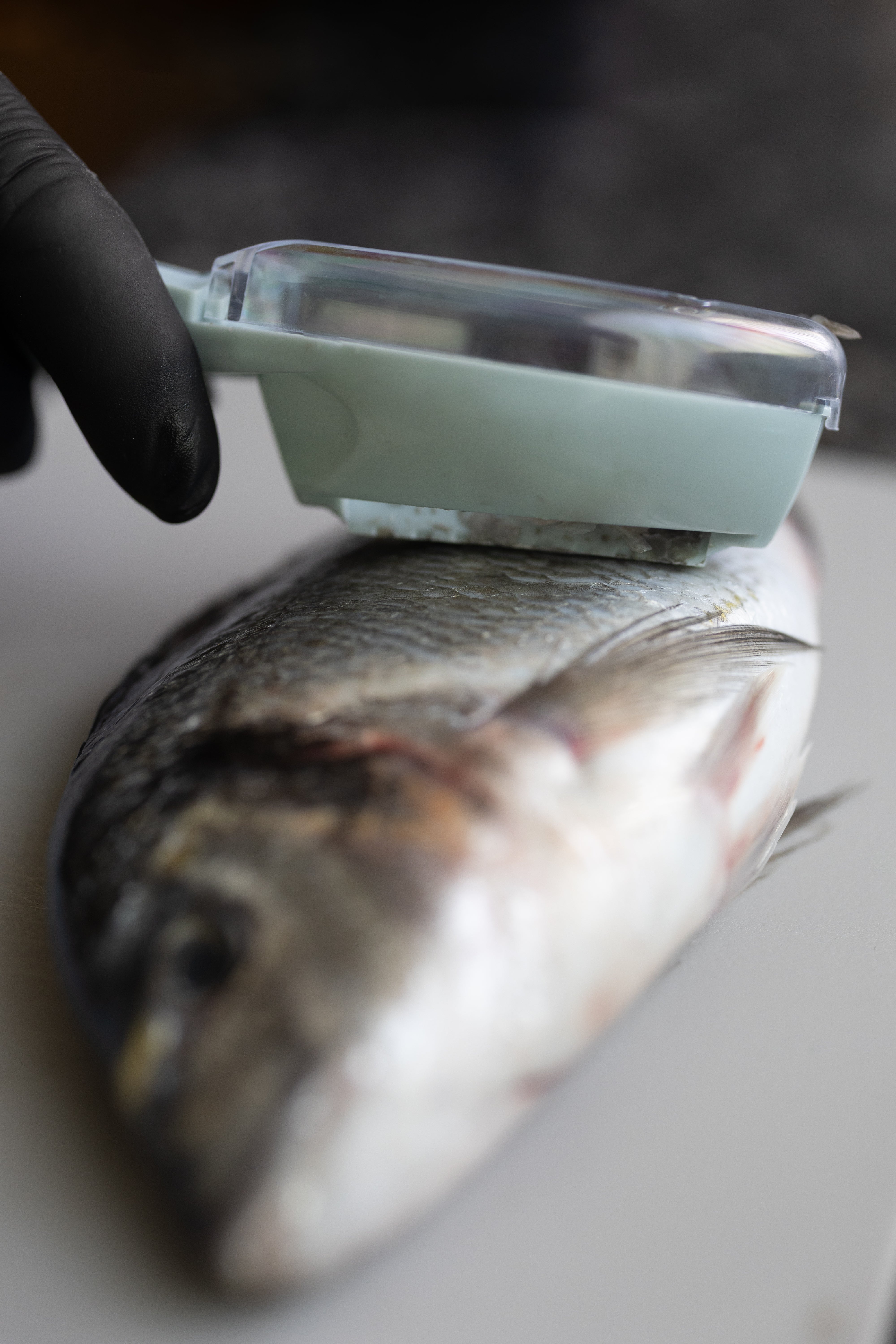 Fish peeler